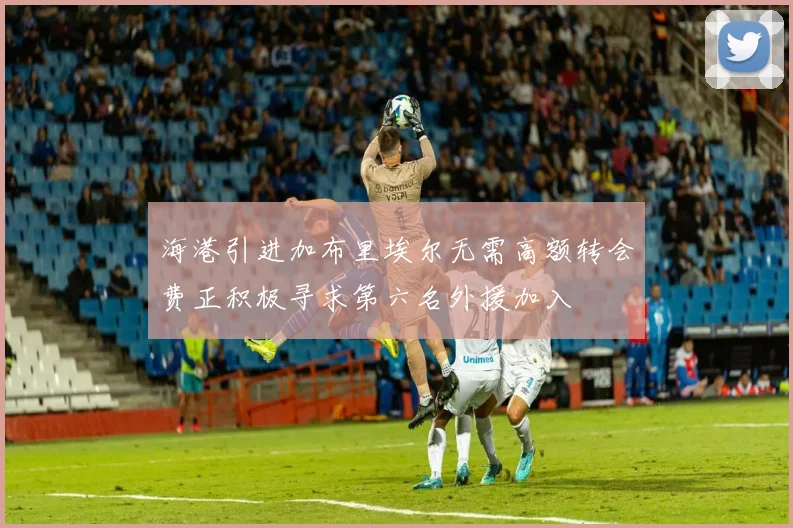 海港引进加布里埃尔无需高额转会费正积极寻求第六名外援加入