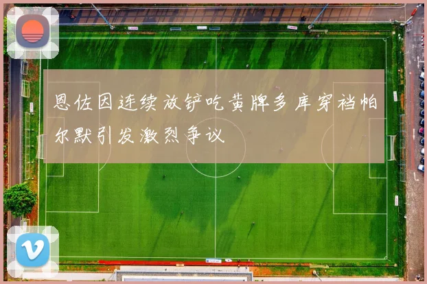 恩佐因连续放铲吃黄牌多库穿裆帕尔默引发激烈争议